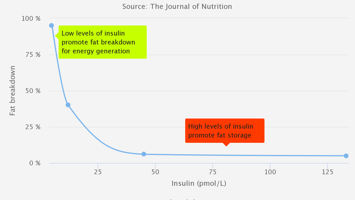 Fat breakdown as a function of insulin levels Line chart